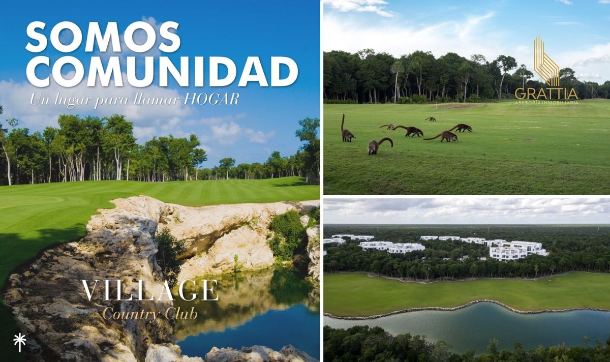 14 de 25