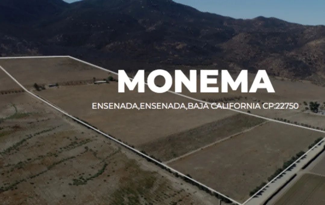 En venta: Hermoso Terreno en Valle de Guadalupe