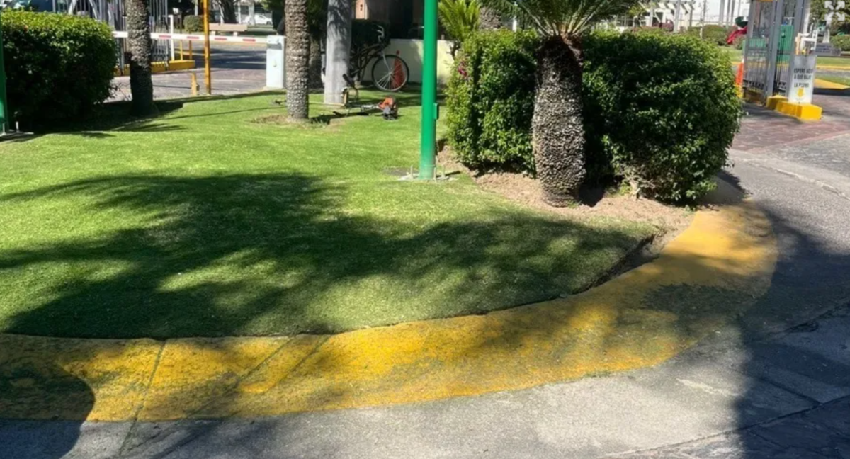 3 de 4