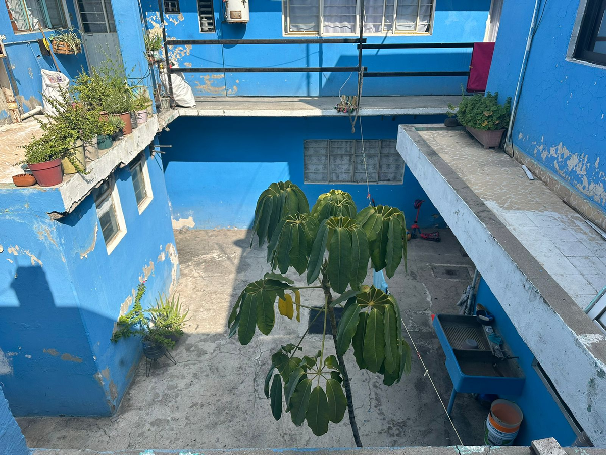 17 de 32