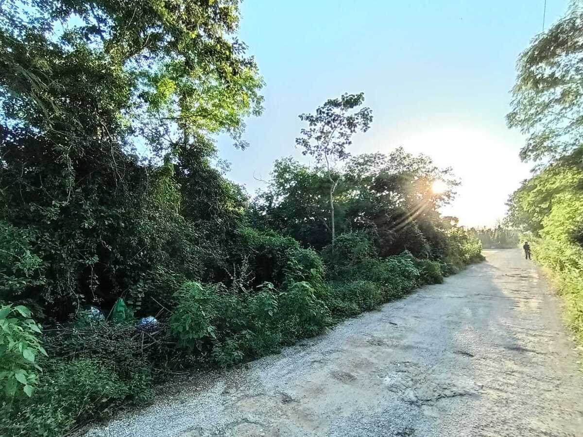 3 de 13