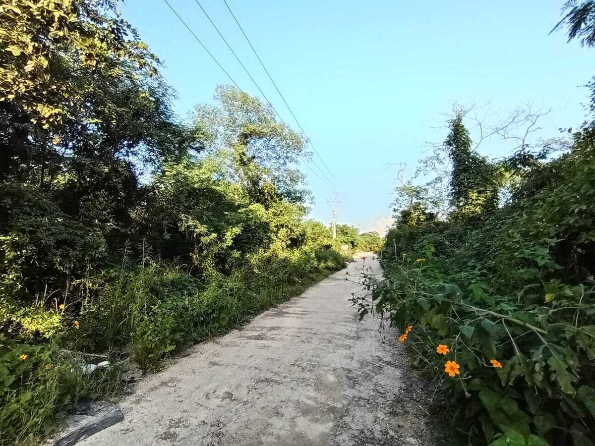 4 de 13