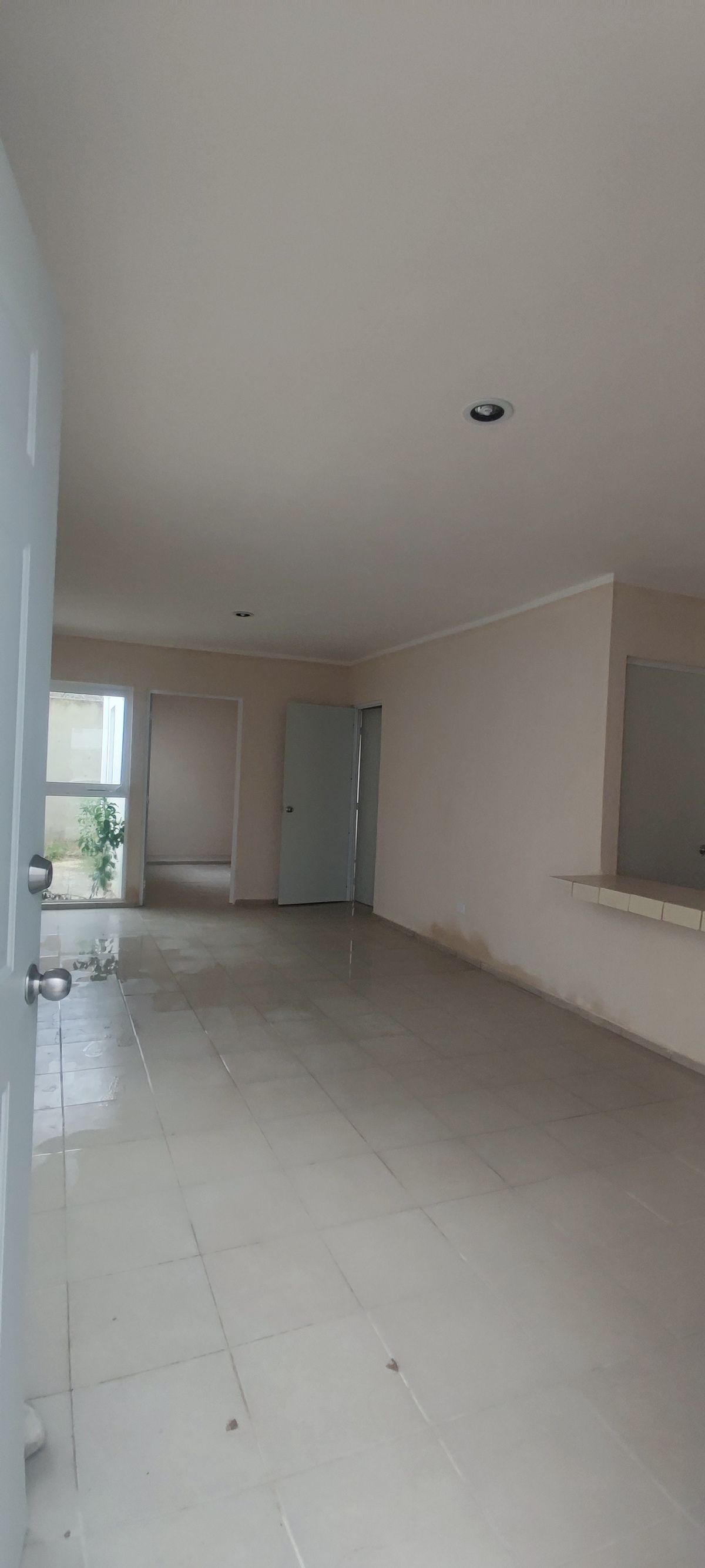 5 de 8: Sala comedor y habitaciones al fondo.