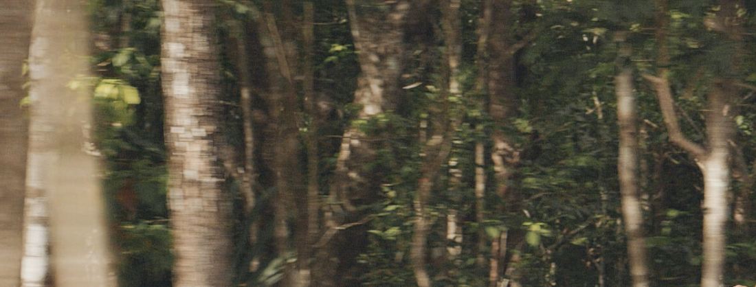 25 de 47