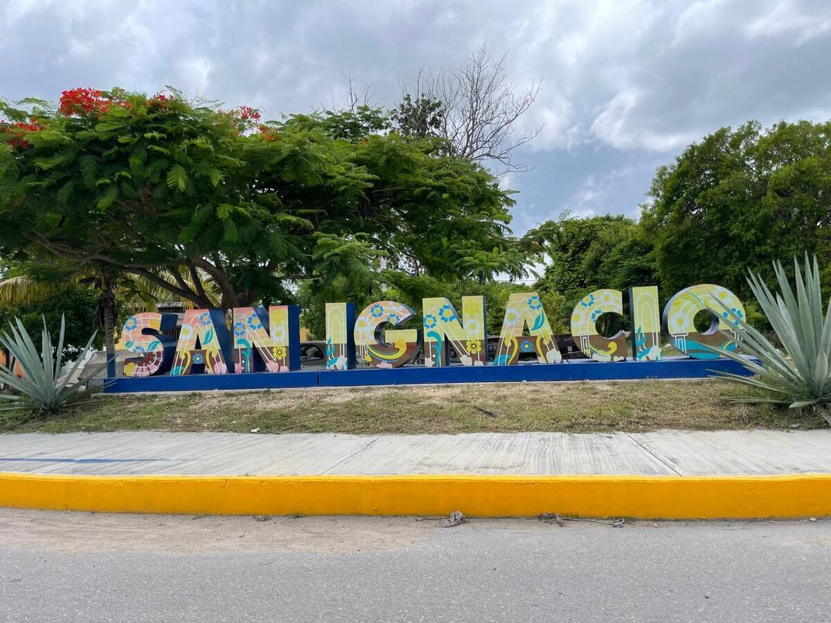 1 de 6