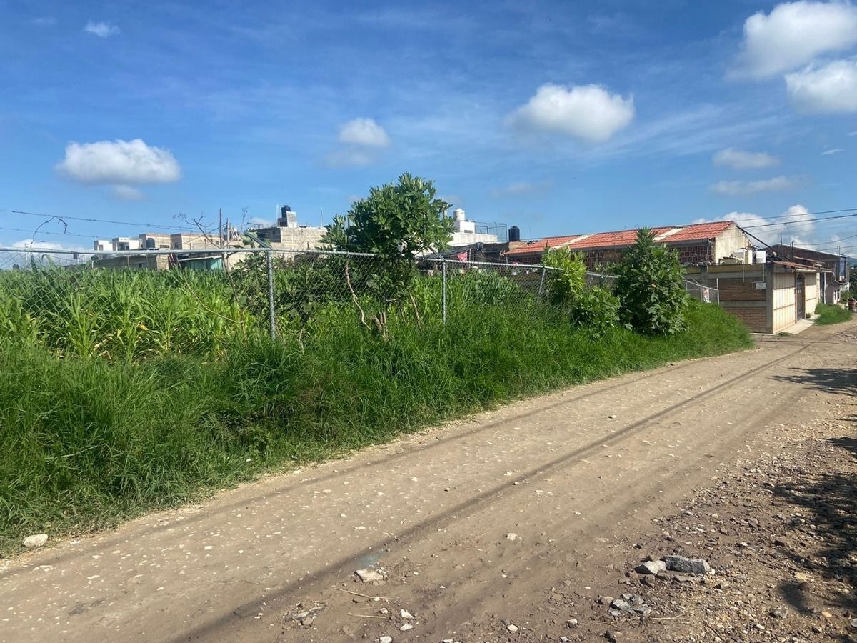 Terreno en Venta en Nextipac, Jalisco. - foto 2