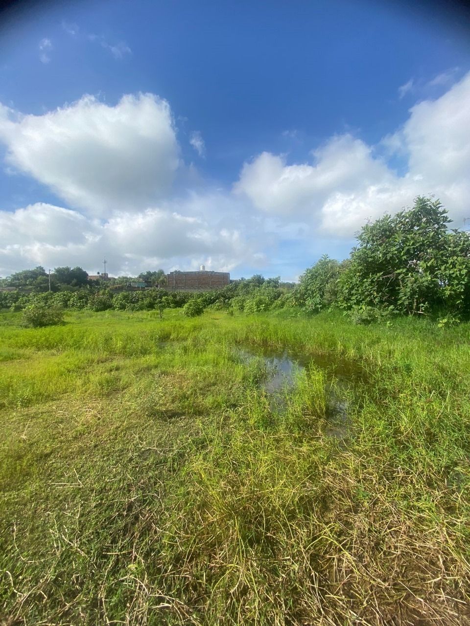 Terreno en Venta en Nextipac, Jalisco. - foto 4