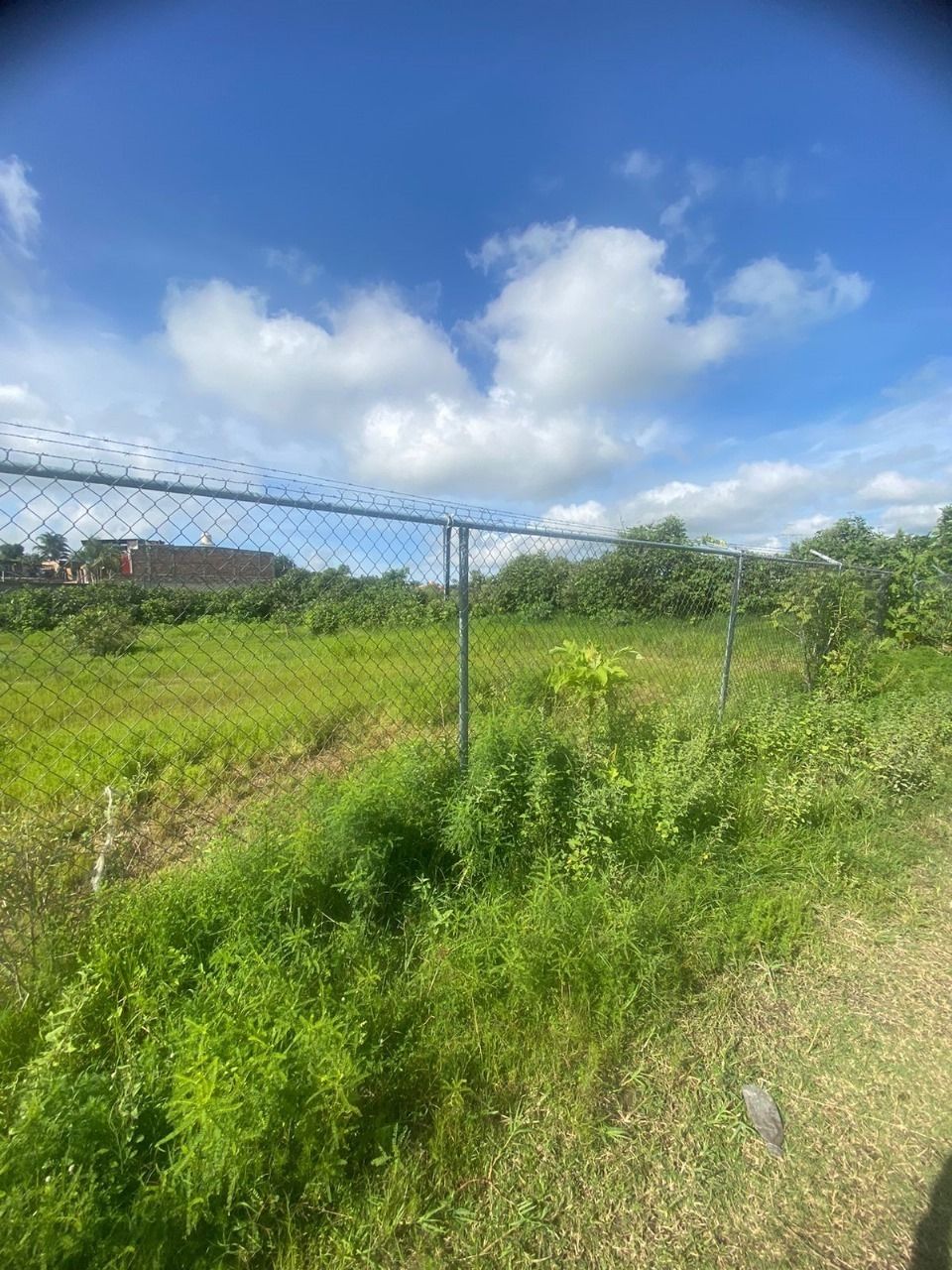 Terreno en Venta en Nextipac, Jalisco. - foto 3