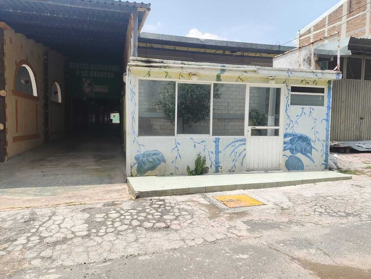 6 de 10