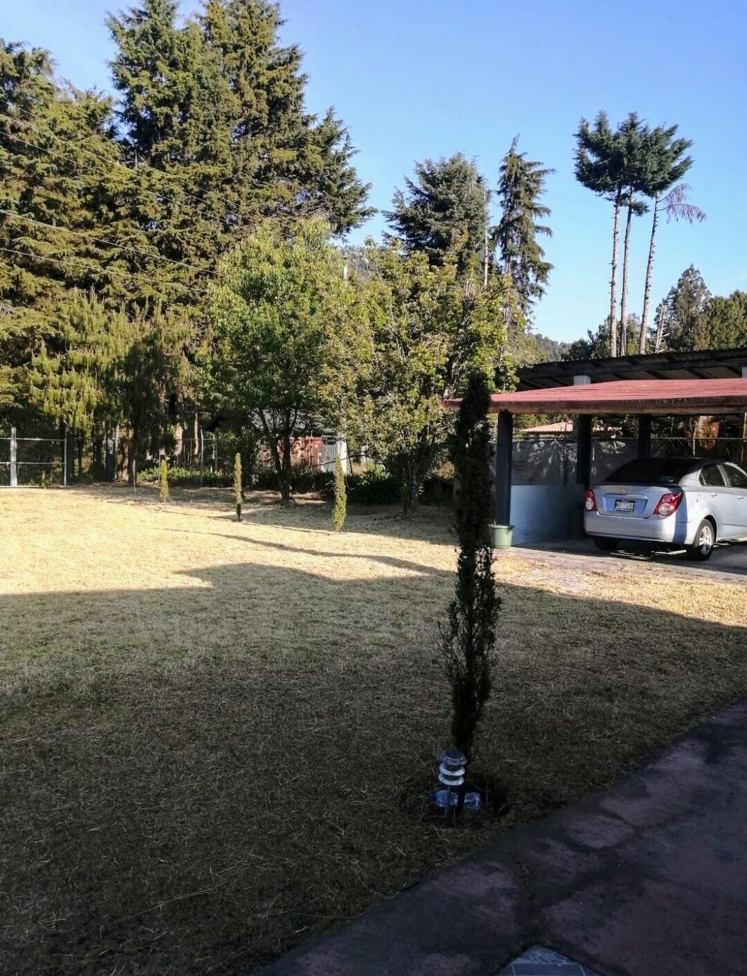 8 de 11