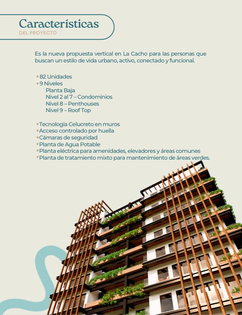 Imagen 5 de 10
