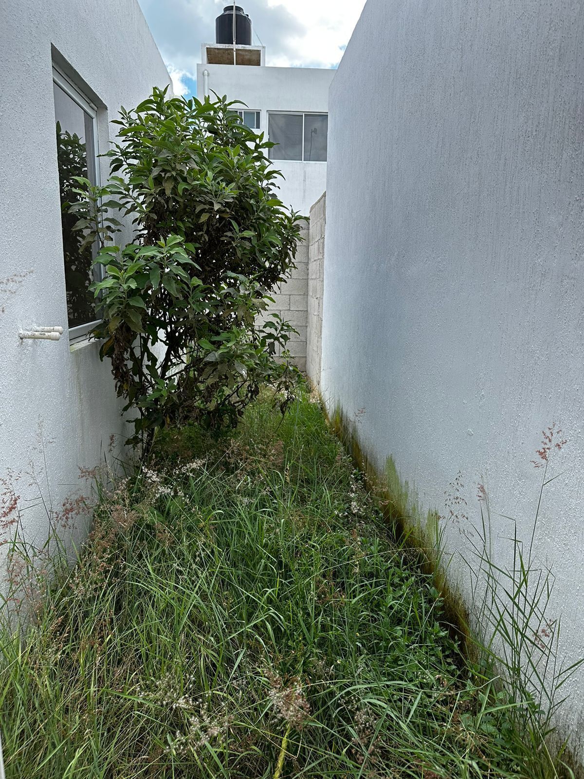 Casa en Caucel, Mérida, foto 10 de 11