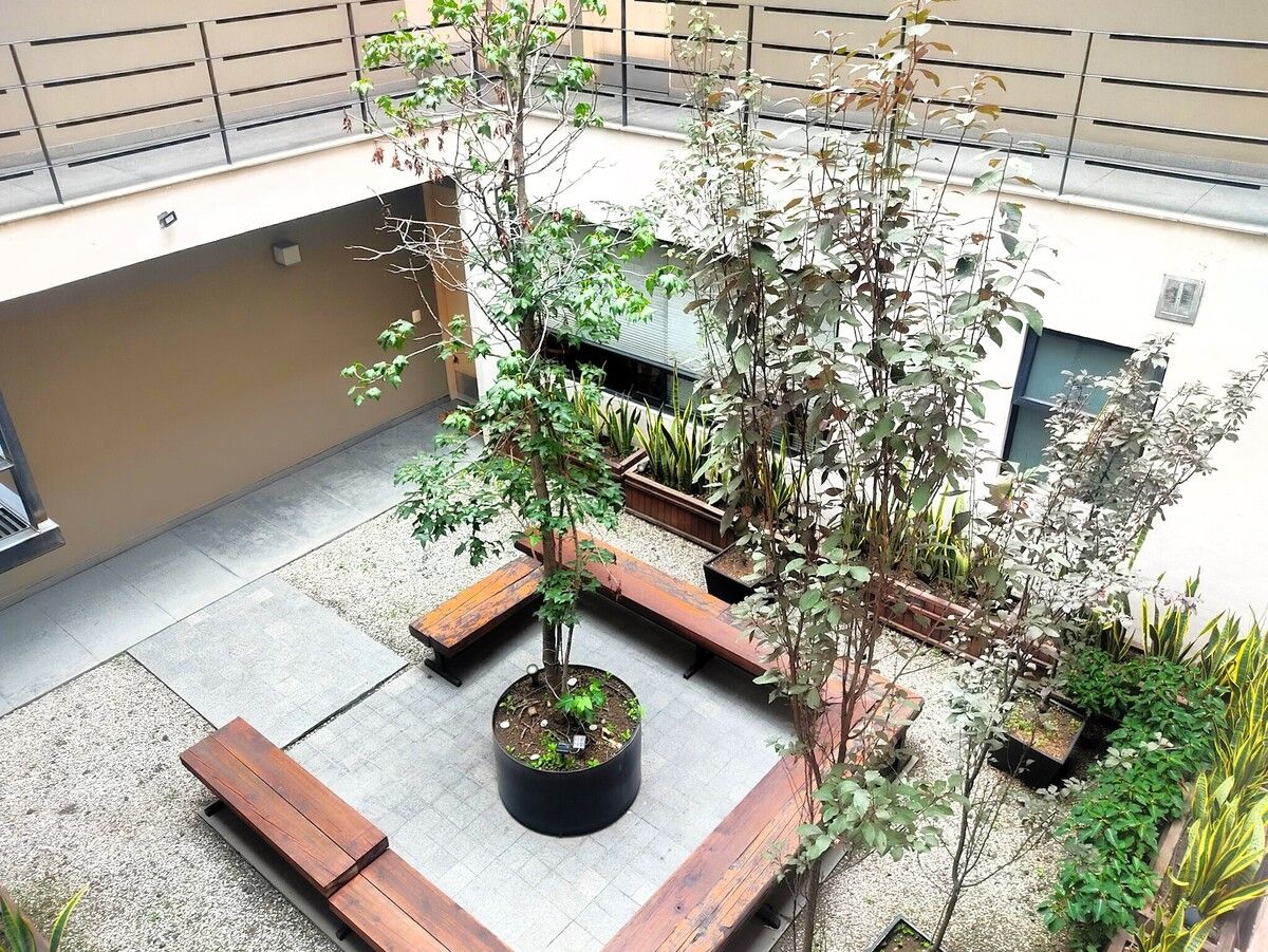 20 of 21: Jardín como área común