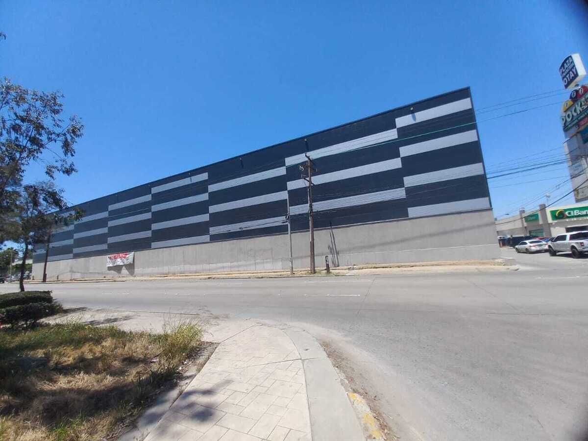 12 de 17