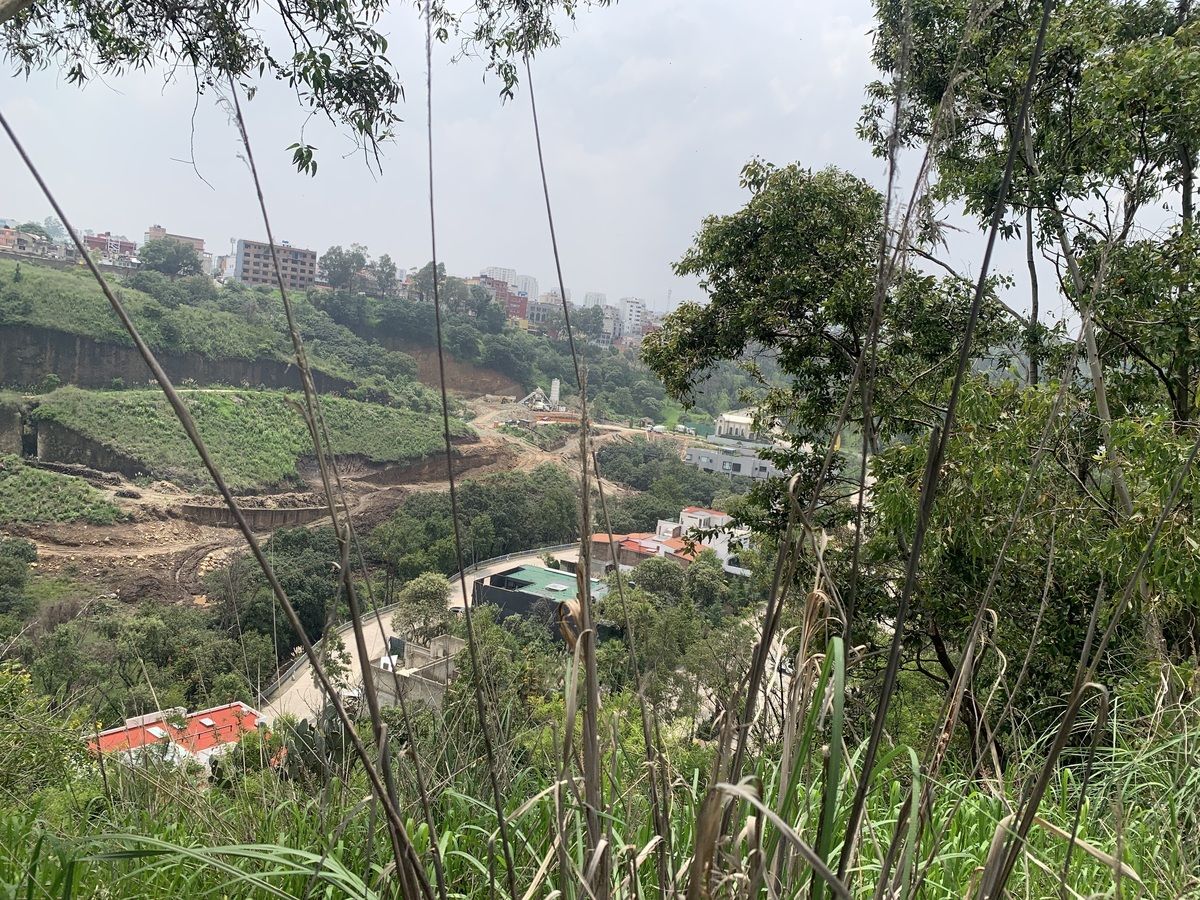 10 de 11
