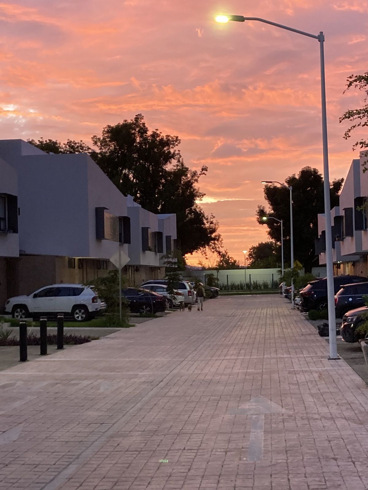 35 de 36: Vialidades del coto