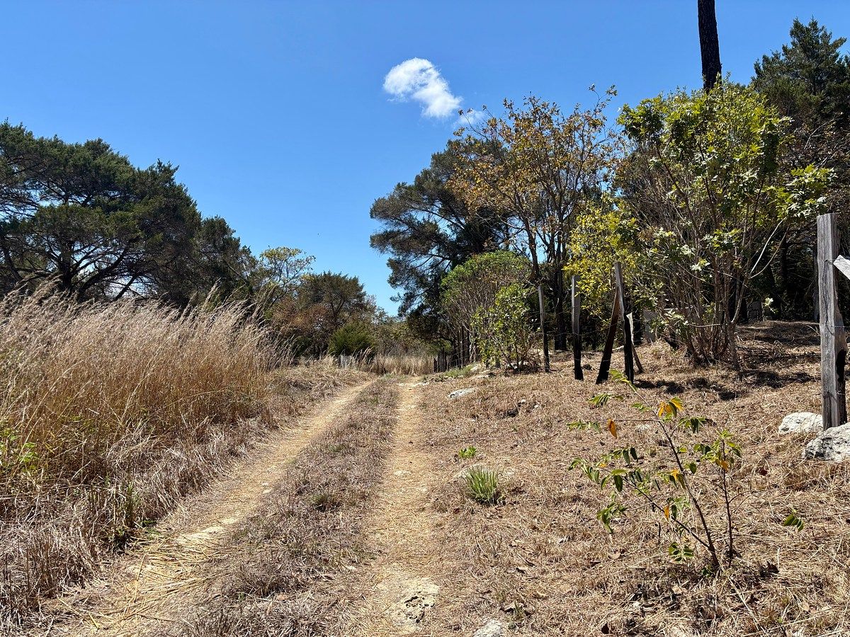 Terreno en Chichima Guadalupe, Comitán de Domínguez, foto 2 de 5