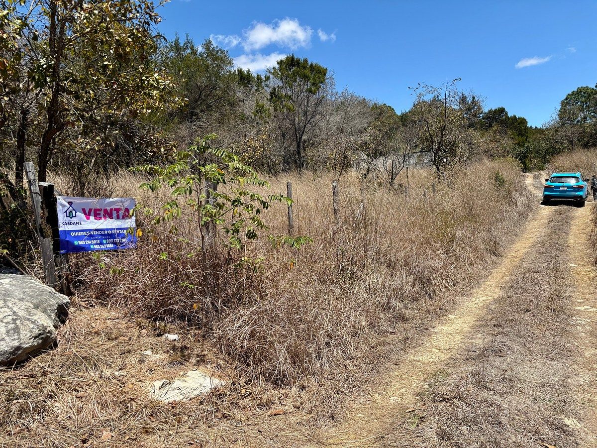 Terreno con la naturaleza en venta, foto 1 de 5