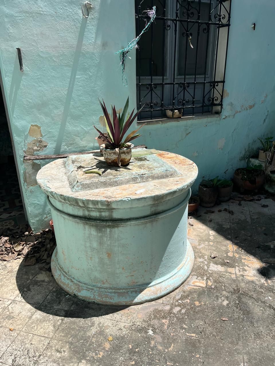 3 de 21