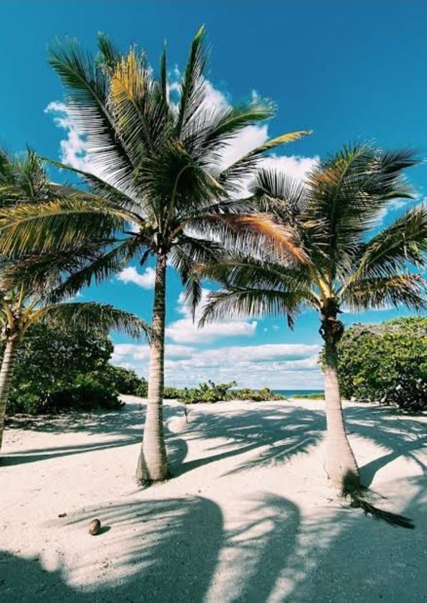 Playa de San Crisanto