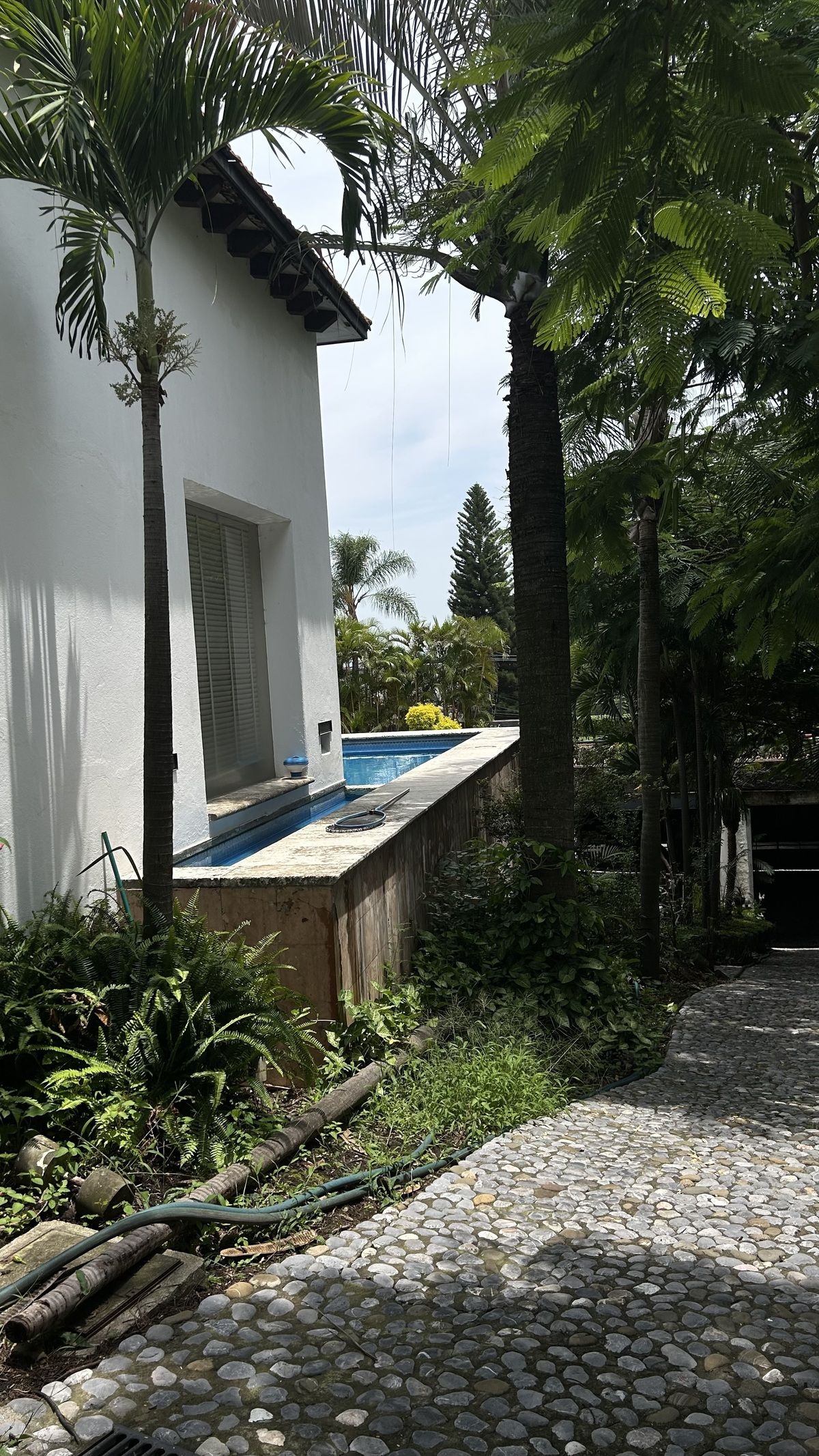 Casa em Los Limoneros, Cuernavaca, foto 6 de 48