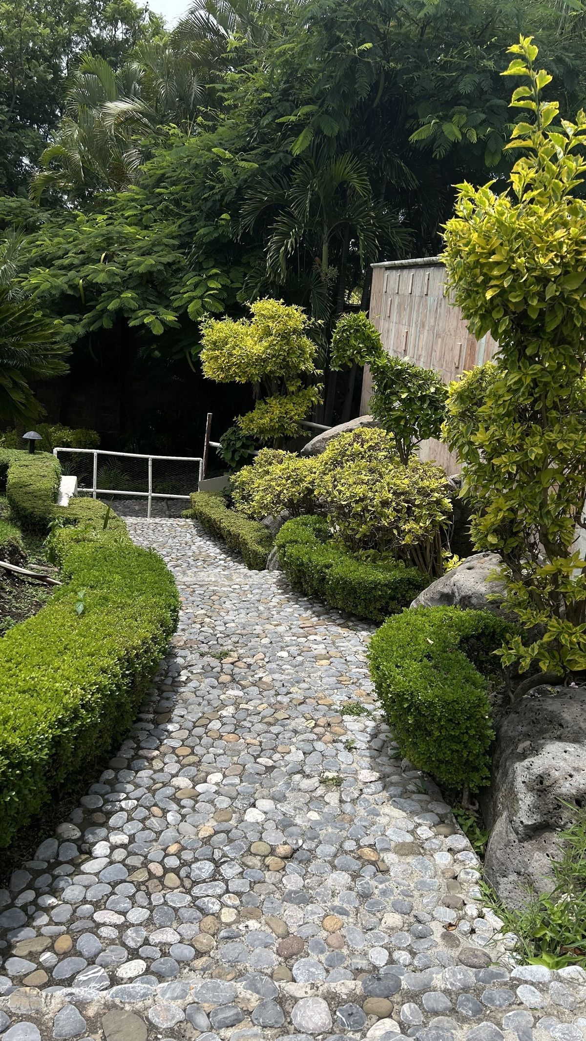 Casa em Los Limoneros, Cuernavaca, foto 15 de 48
