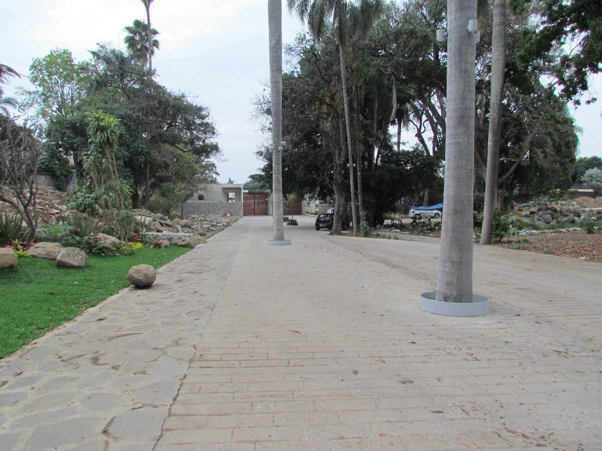 3 of 6: Boulevard
