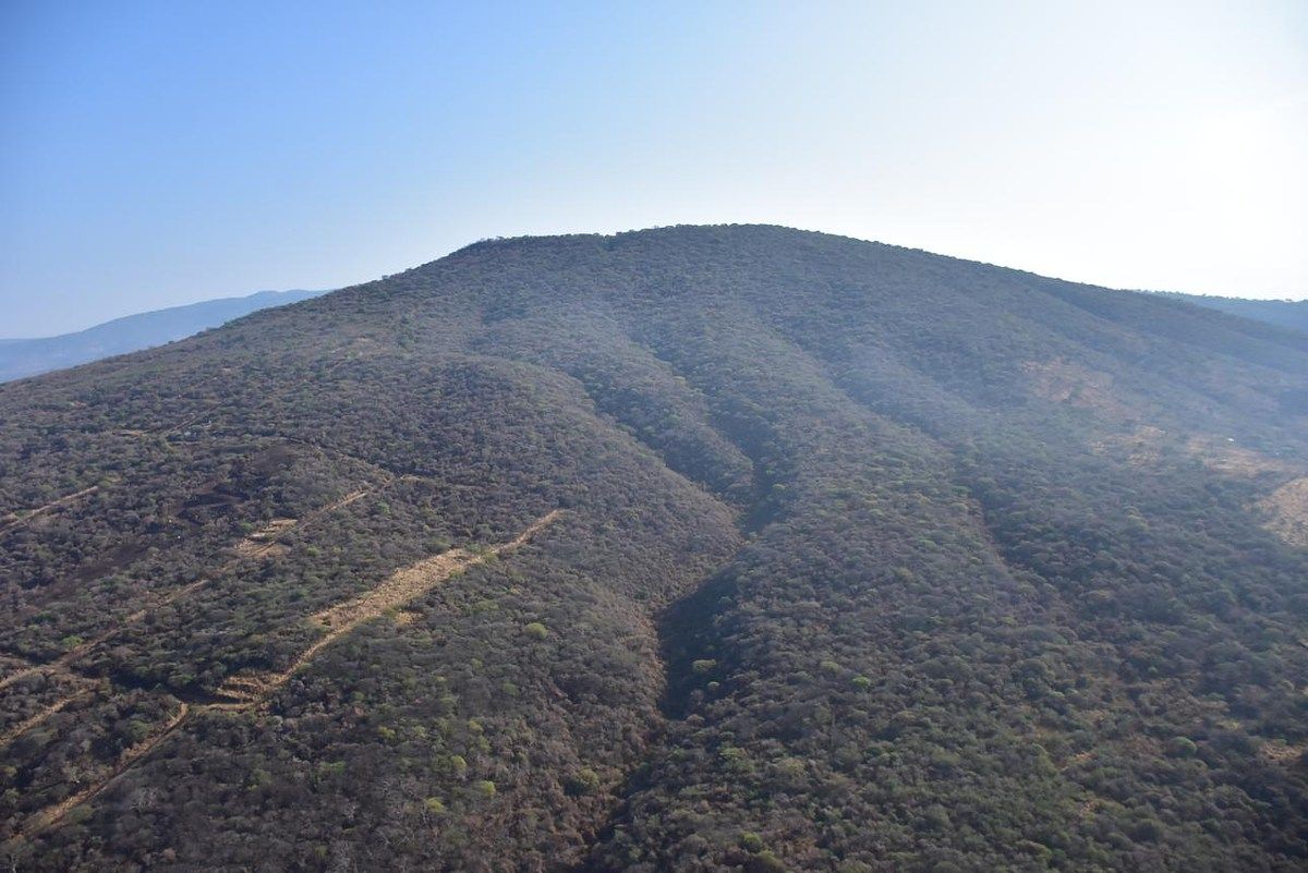 ESPECTACULAR TERRENO A PIE DE CARRETERA EN TALA, JAL. - foto 3