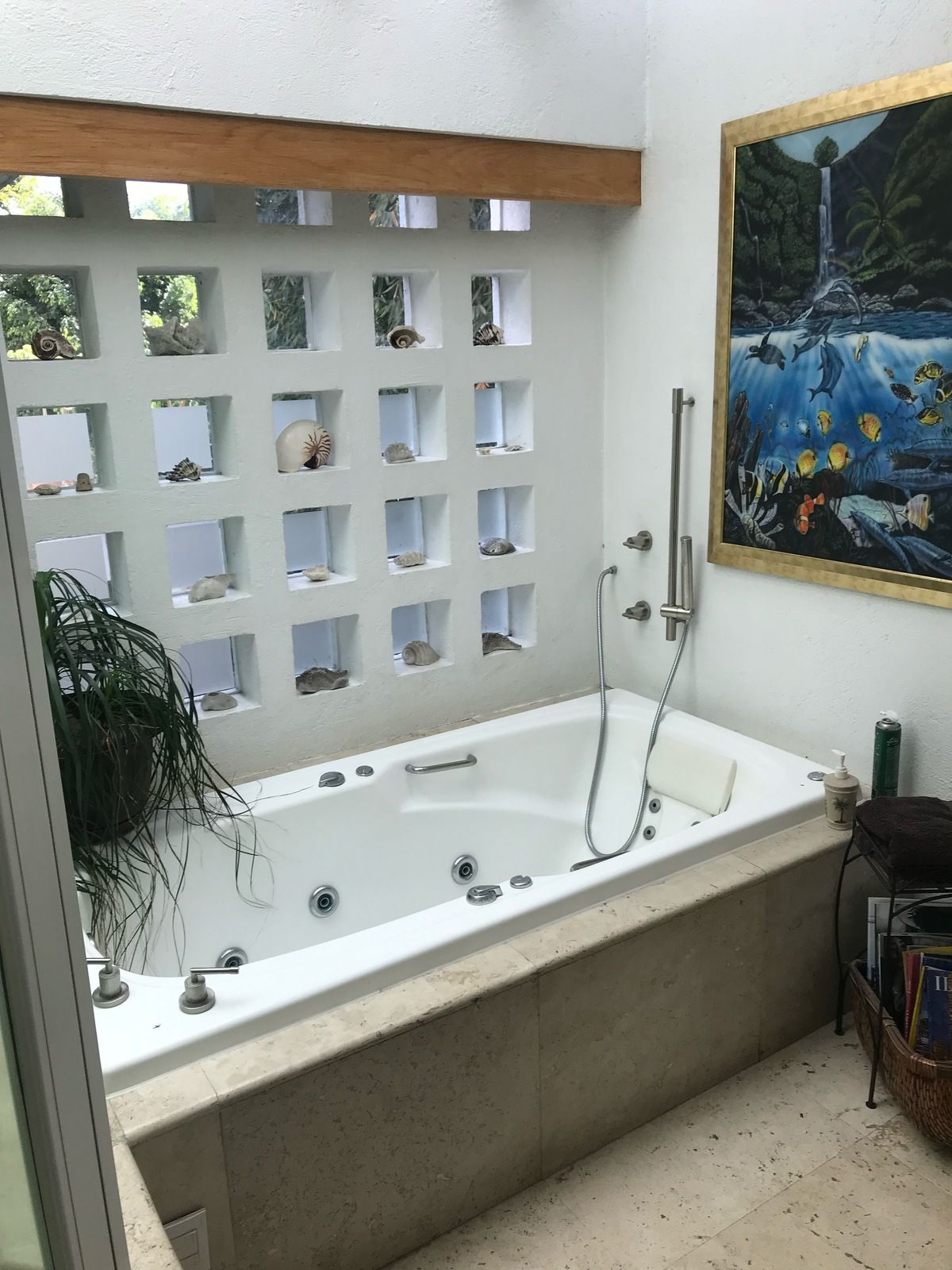 18 of 28: Jacuzzi recámara principal