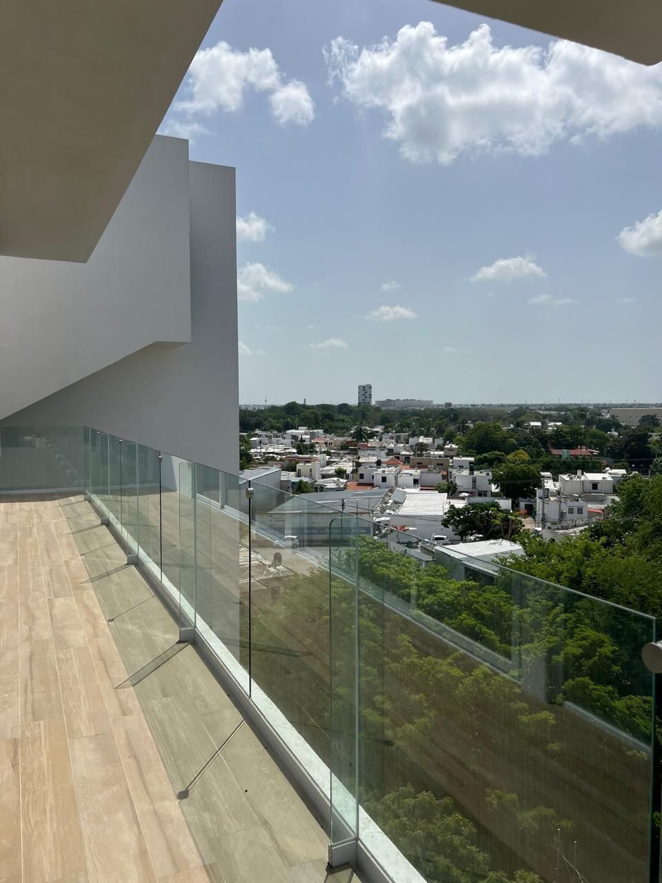 27 de 38: Vista desde el salón