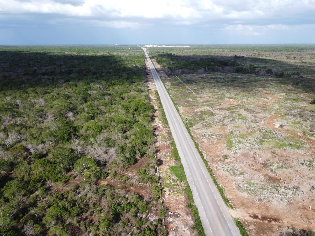 Terreno en carretera Hunucmá- Texán, 5 hectáreas - foto 5