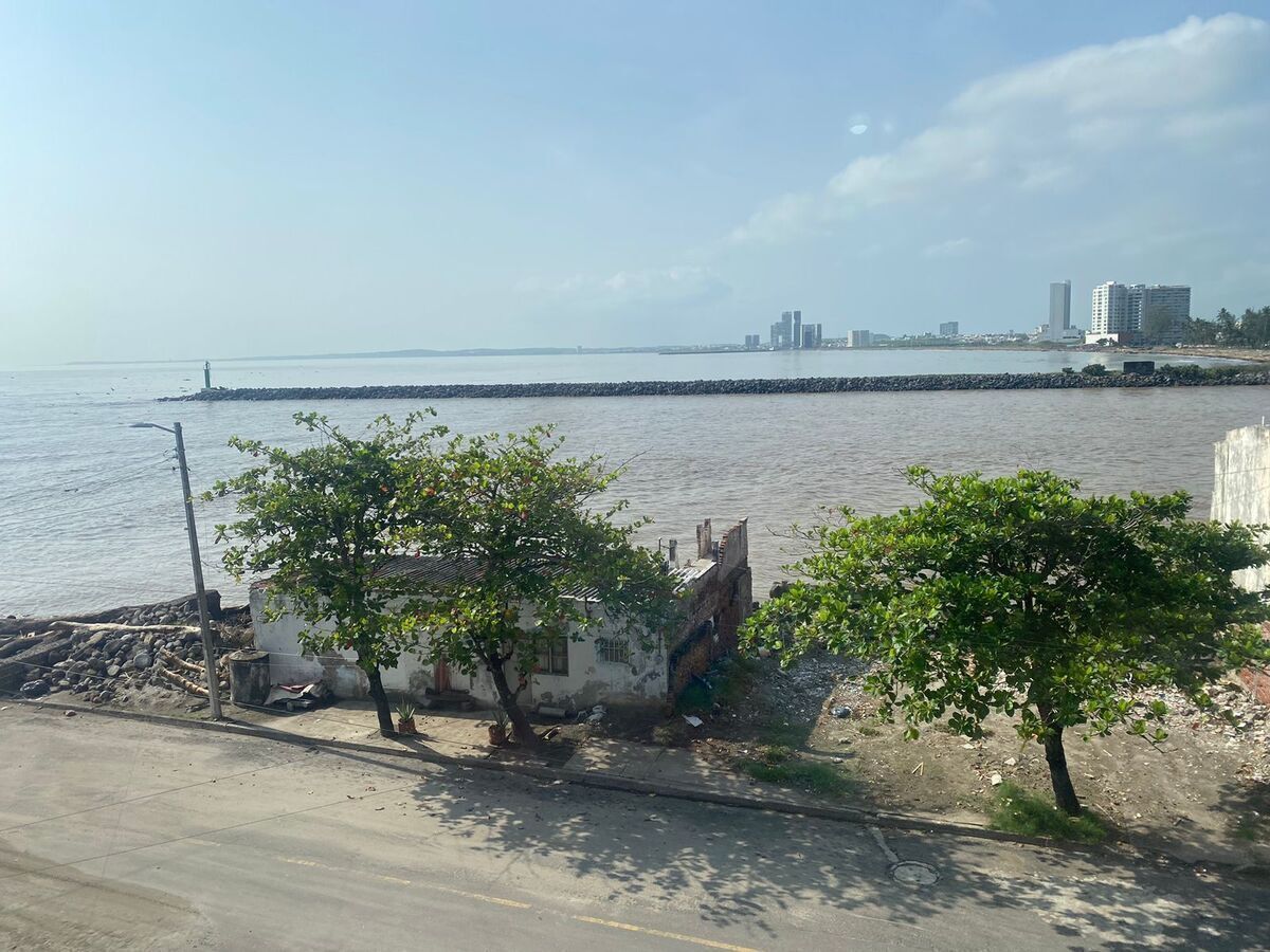 7 de 18