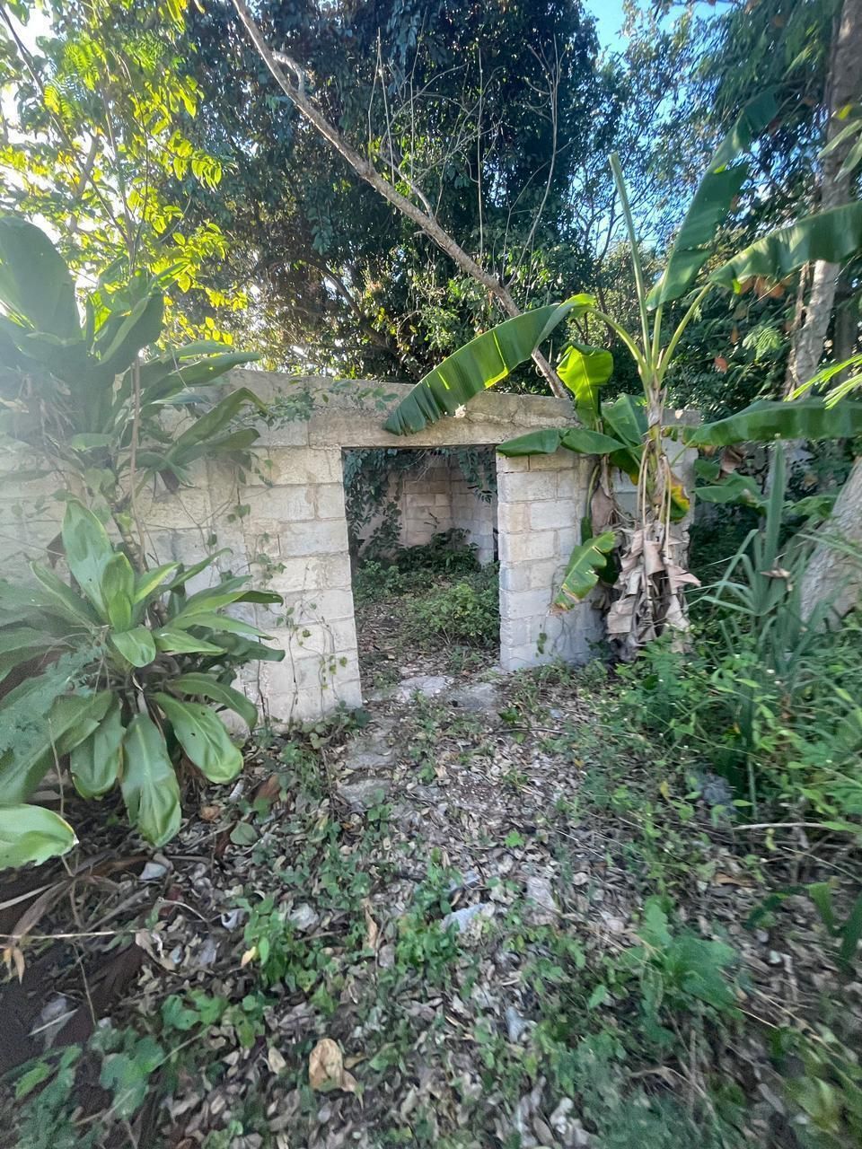 3 de 11