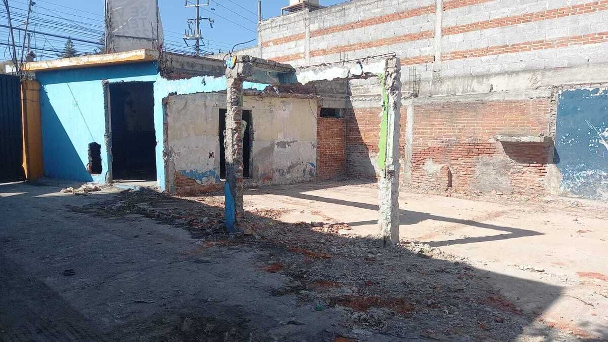 6 de 13
