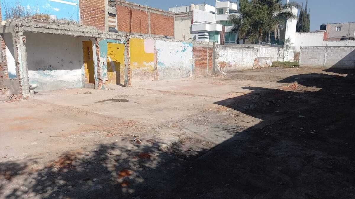 7 de 13