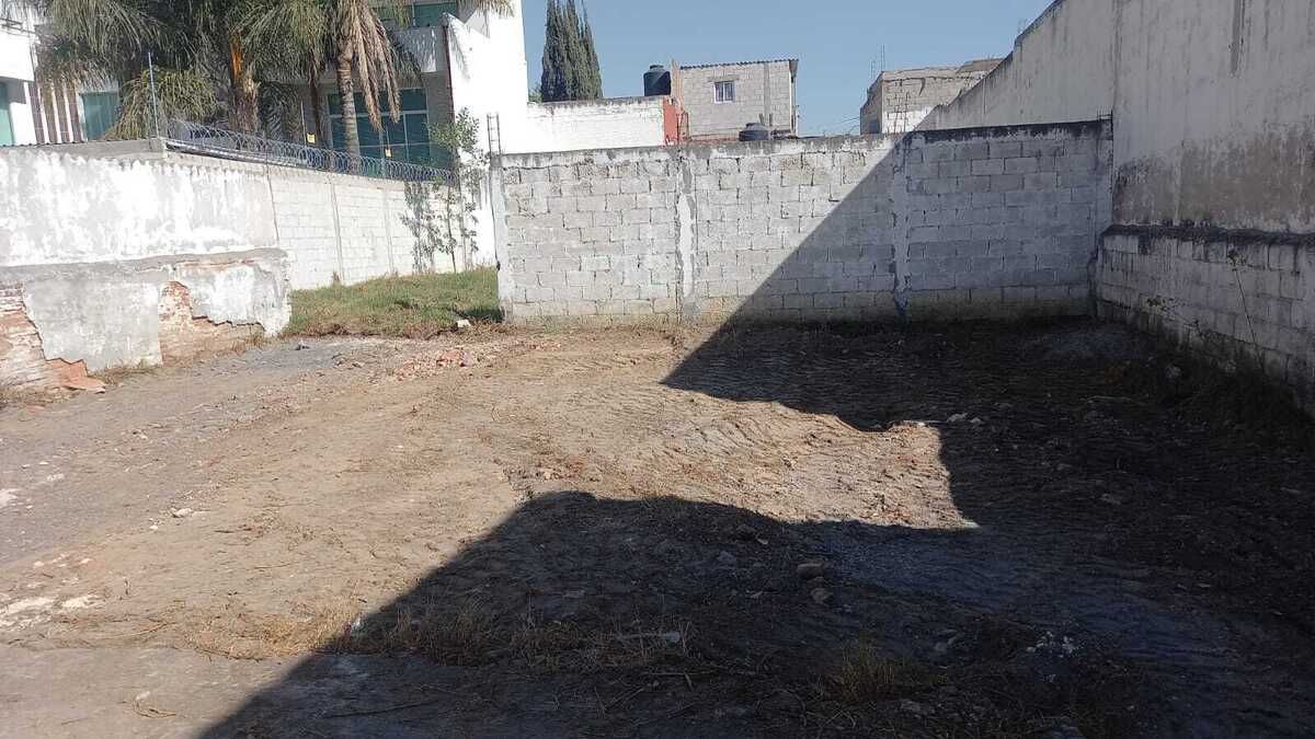 11 de 13