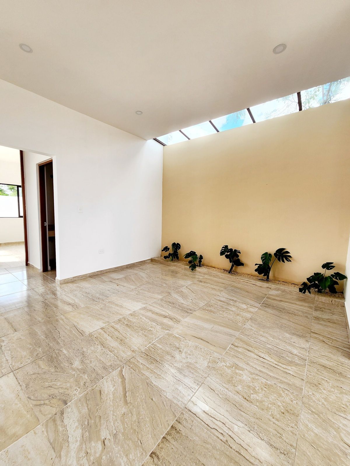 7 de 27: Estancia para comedor con jardín interiios con traga luz.