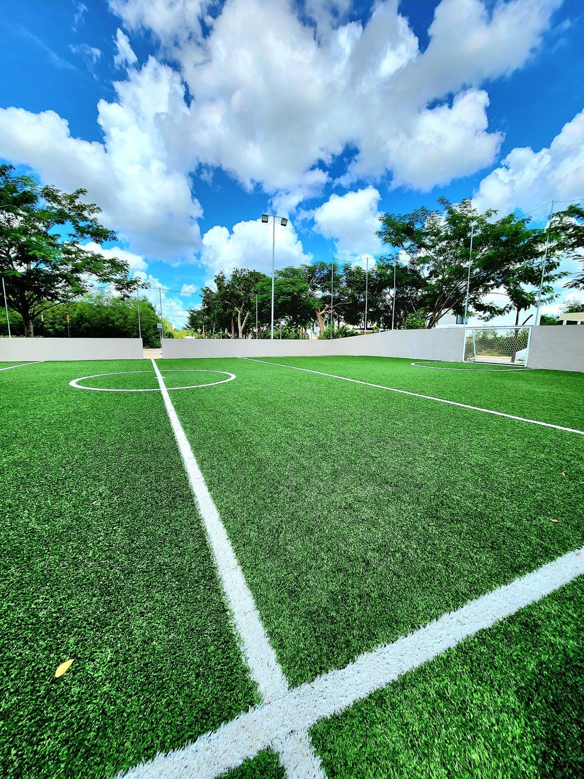 21 de 27: Cancha de fútbol.
