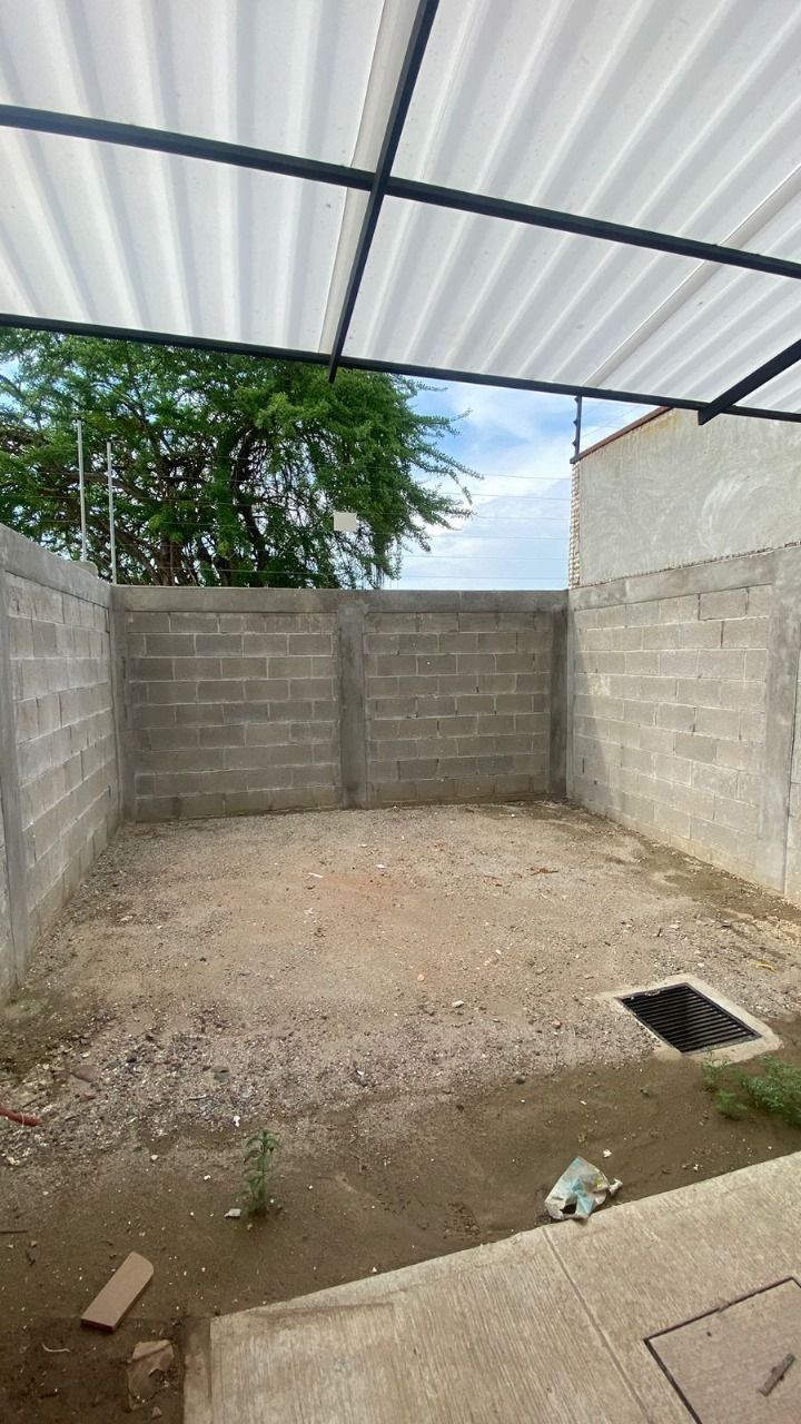 7 de 12