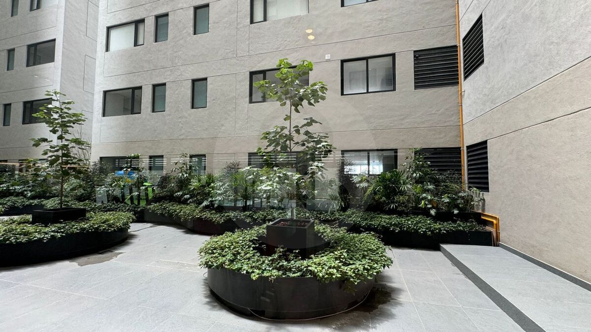 11 de 12