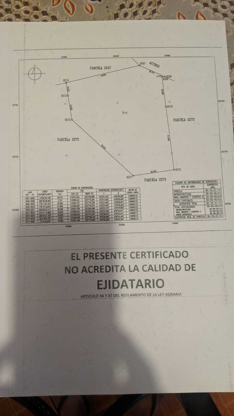 Imagen 1 de 8