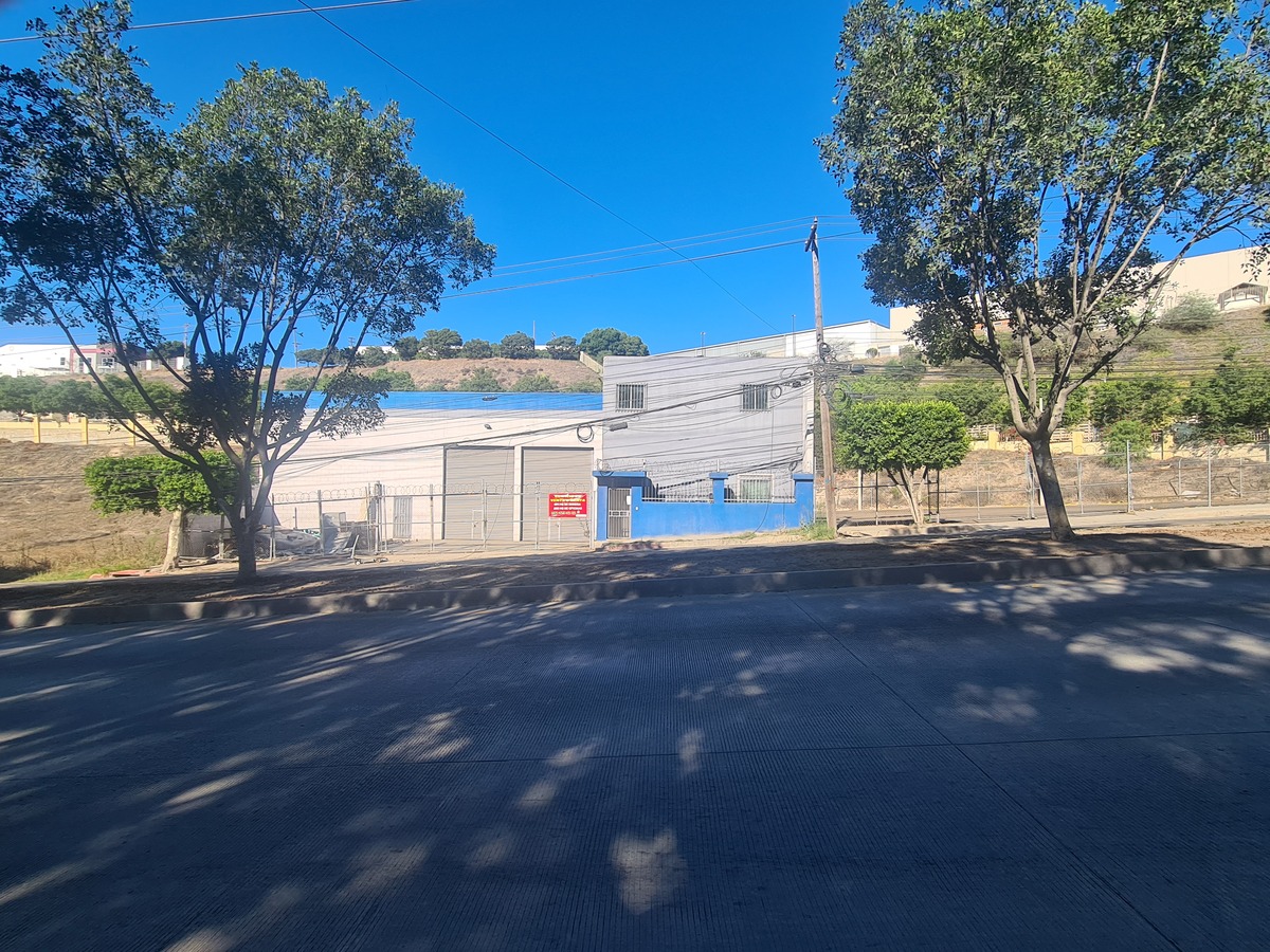 7 de 7