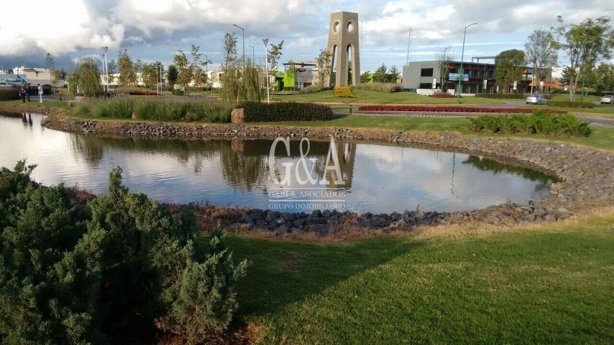 Imagen 9 de 10
