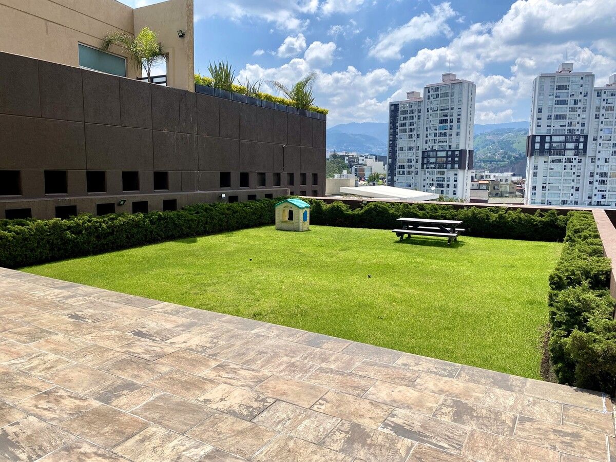 20 de 24
