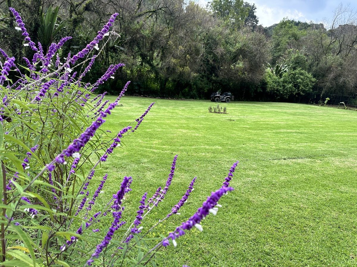 Terreno en San Mateo Acatitlán, Valle de Bravo, foto 4 de 11