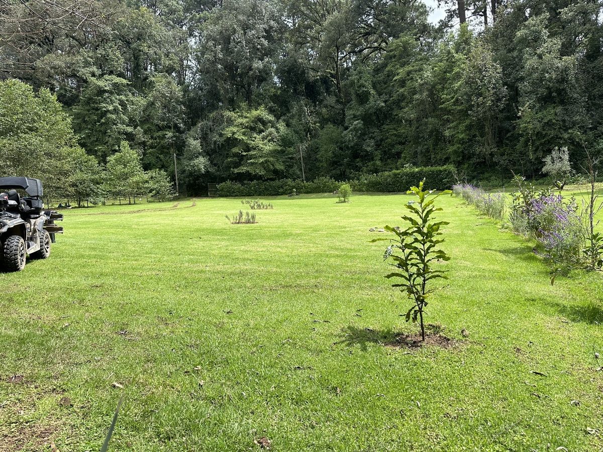 Terreno en San Mateo Acatitlán, Valle de Bravo, foto 8 de 11