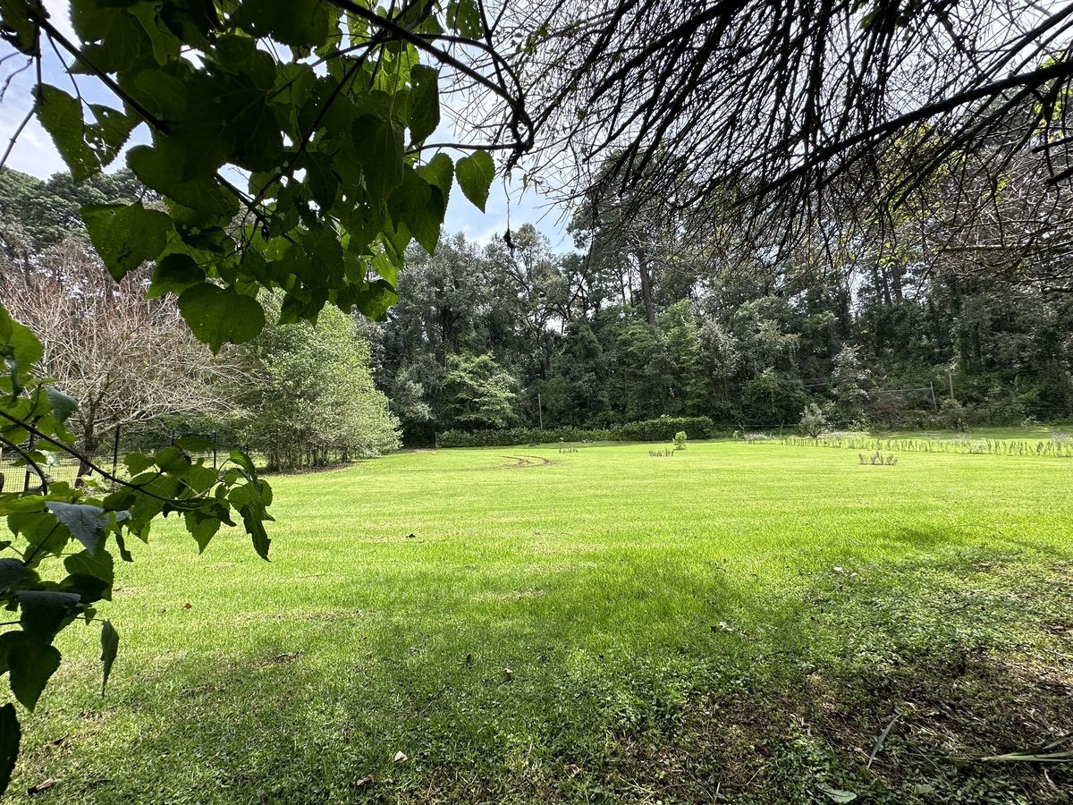 Terreno en San Mateo Acatitlán, Valle de Bravo, foto 9 de 11