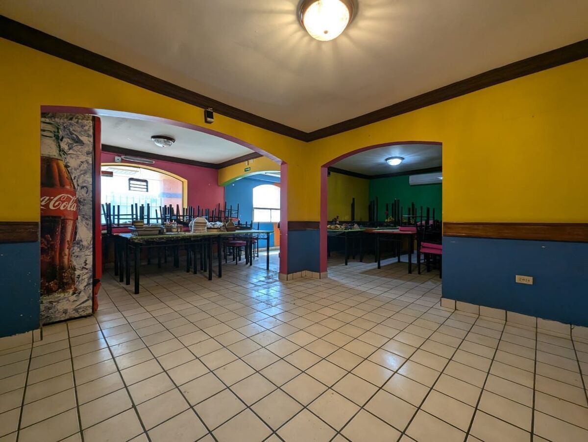 3 de 11