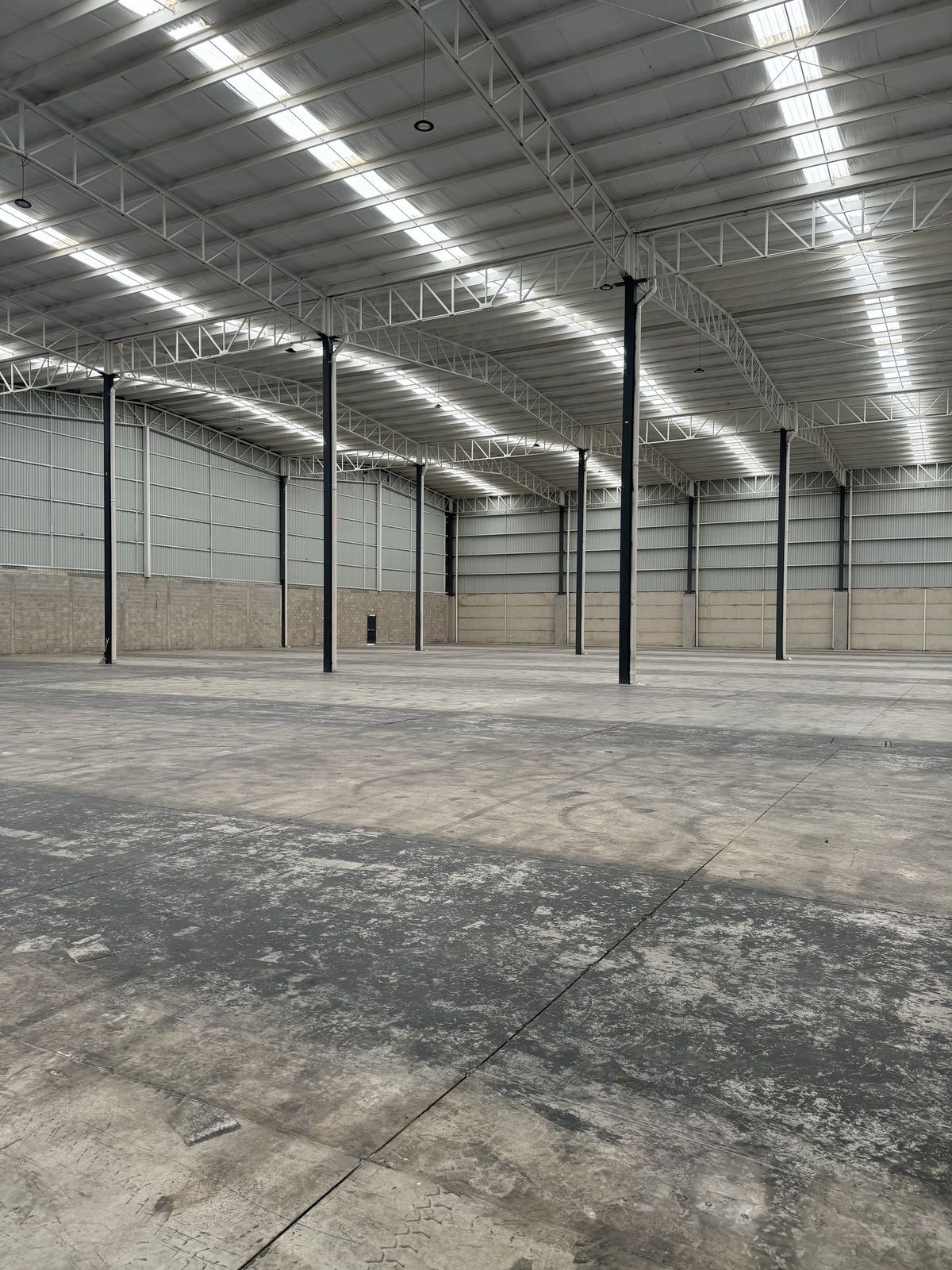 Industrial Building in La Venta Del Astillero, Zapopan, photo 18 of 20