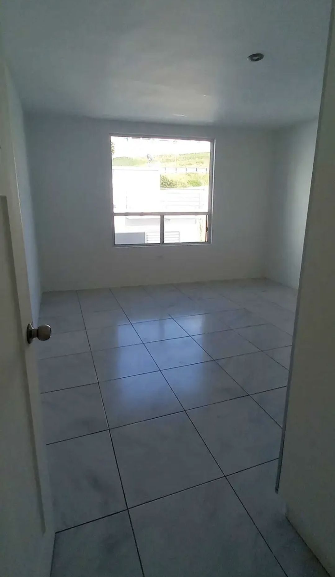 12 de 24